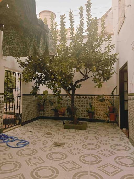La Casa De Manolita Villa Baena Exterior photo